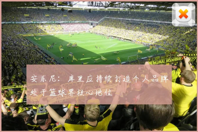 安东尼：库里应持续打造个人品牌处于篮球界核心地位