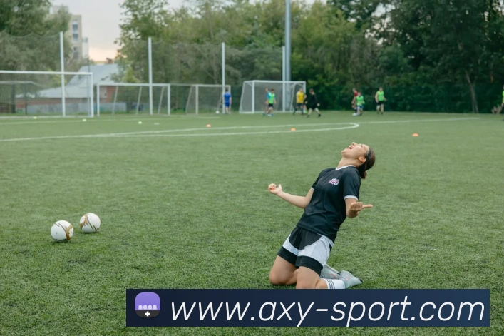 爱游戏体育APP 高清赛事图